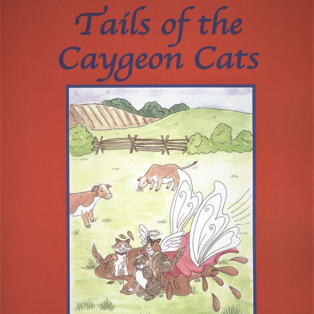 BOGO Orig. Illustrated Children's Rescue Cats Book